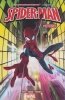 SPIDER-MAN BY TOM TAYLOR TP [9781302953485]